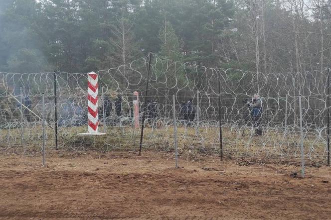 Nielegalni migranci znalezieni w lesie po polskiej stronie granicy. Przeszli 40 kilometrów