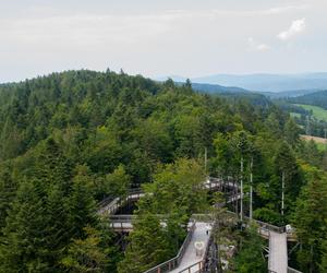 Krynica-Zdrój - zwiedzanie i atrakcje. Co tu zobaczyć i ile to kosztuje?