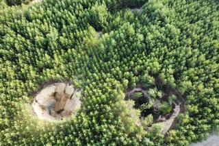 W trakcie grzybobrania zauważył gigantyczne zapadlisko. W lesie jest ich 80!