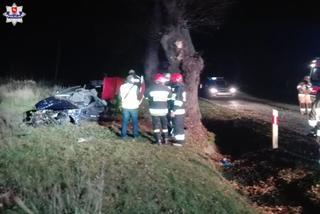 Audi roztrzaskane na drzewie, nie żyje dwóch 19-latków