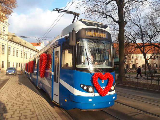 Specjalny tramwaj i... walka o budki lęgowe czyli krakowianie świętowali walentynki