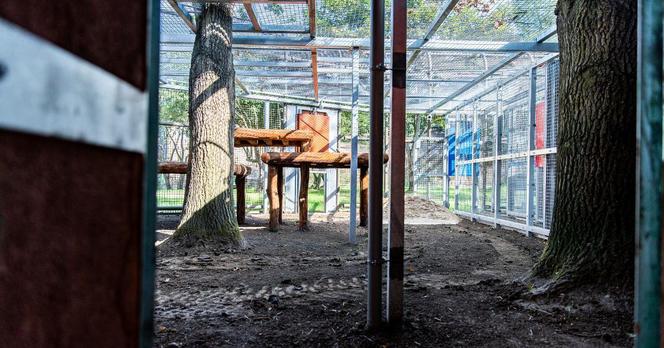 Tak wygląda nowa lwiarnia w Zoo Wrocław. Już niedługo zamieszkają tam aż trzy nowe lwy [ZDJĘCIA]