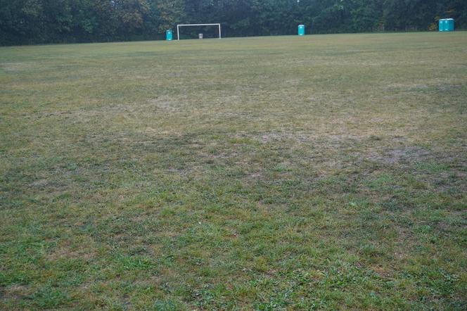 Stadion Dzików Skarżysko