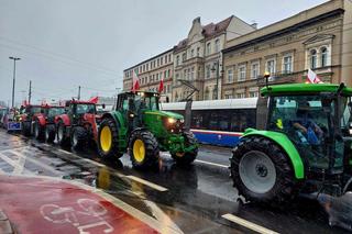 Rolnicy chcą, aby rząd wycofał się z Zielonego Ładu