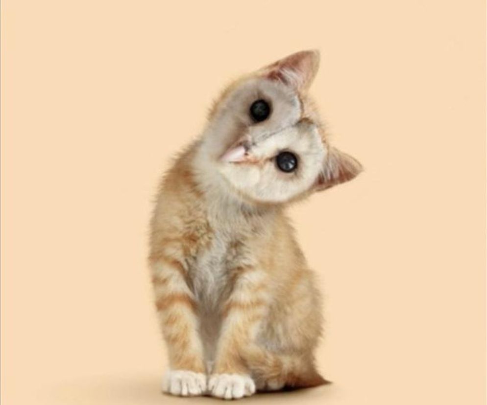 Spojrzysz na ten obrazek i poznasz prawdę o swojej osobowości. Czy masz dobrą intuicję? Jeśli to zobaczysz, to znaczy, że posiadasz szósty zmysł. Psychologiczny test obrazkowy