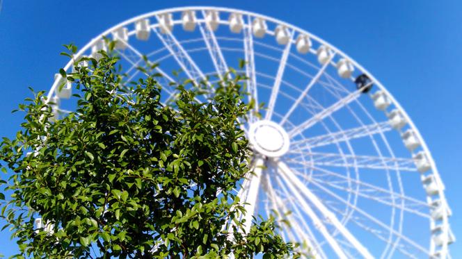 Wheel Of Szczecin
