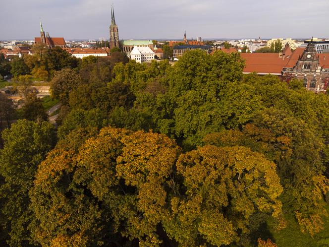 Wrocław w połowie października 2022 roku 