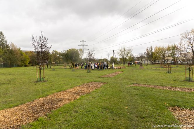 Park na osiedlu Prędocinku 