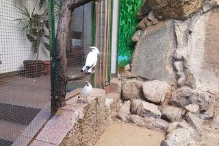 ZOO Toruń zaprasza!