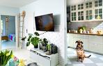 telewizor w salonie