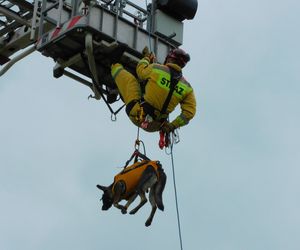 III Piknik Strażacki w Dąbrówce‑Stanach za nami