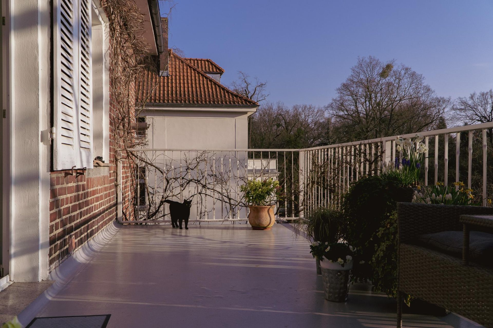 Willa Maxa Berga we Wrocławiu