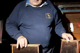 Sąd eksmituje moje pszczoły