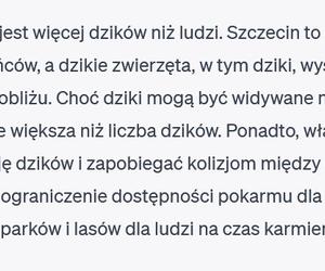 Chat GPT o Szczecinie 