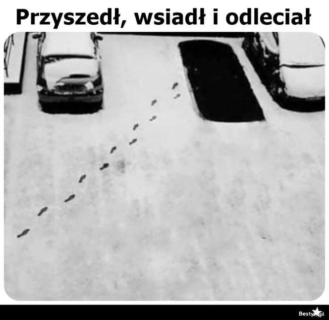 Memy o zimie roztapiają smutki. Te śnieżne obrazki rozbawią cię do łez [TOP 75]