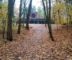 Porządkowanie terenu wokół wieży Quistorpa