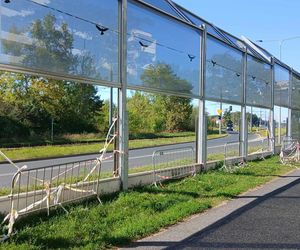  Bydgoszcz ma problem z wandalami. Demolują przystanki i ekrany. Wszystko jest naprawiane z naszych podatków [GALERIA]