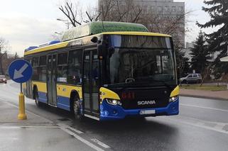 Tarnów. Wrócił stary rozkład jazdy miejskich autobusów. Mieszkańcy nie chcieli ograniczenia kursów