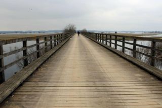 Stary, drewniany most w Bronowie