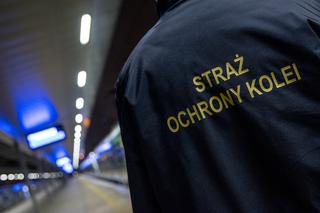 AWANTURA na stacji Poznań Główny. AGRESYWNY 21-latek wyprowadził cios i...