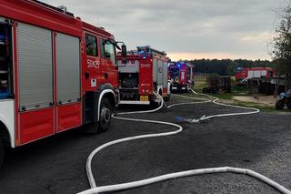 Potężny pożar kurnika w pow. radzyńskim Padło kilka tysięcy zwierząt. Zobacz