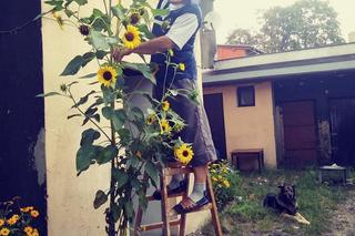 Zbigniew przygranął Andrzeja, a ten go zasztyletował