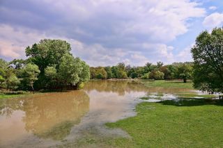 Warta w Łódzkiem powyżej stanu ostrzegawczego. Sprawdzą się prognozy IMGW?