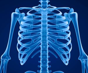 Wyrostek mieczykowaty - co to jest i gdzie się znajduje?