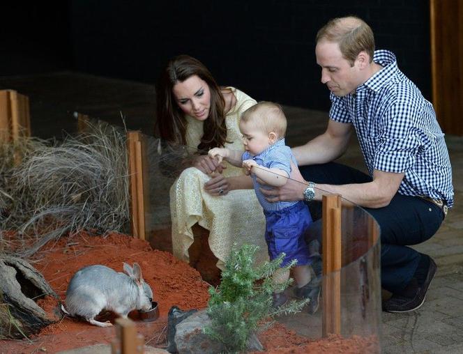 Księżna Kate w ZOO