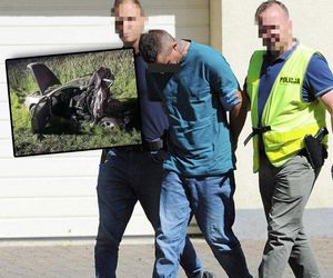 Ojciec i syn zginęli w wypadku. Poruszające szczegóły o rodzinie