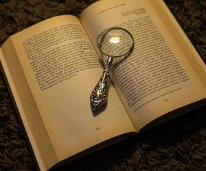 Na Roztoczu powieje grozą. Czas na 2. Kryminalia Lubyckie 