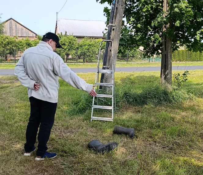 Ratował boćka na słupie, spadł z drabiny