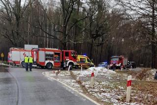 Audi roztrzaskało się na drzewie, 40-latek zginął na miejscu