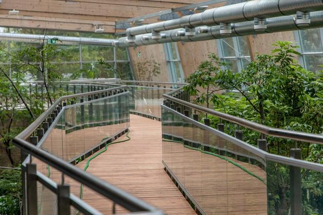 Pawilon lasu deszczowego w Śląskim Ogrodzie Zoologicznym w Chorzowie