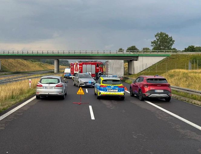 Nie żyje 13-letnia wolontariuszka WOŚP. Zmarła po tragicznym wypadku na drodze S7