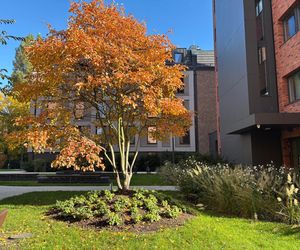 Osiedle Riverview w Gdańsku