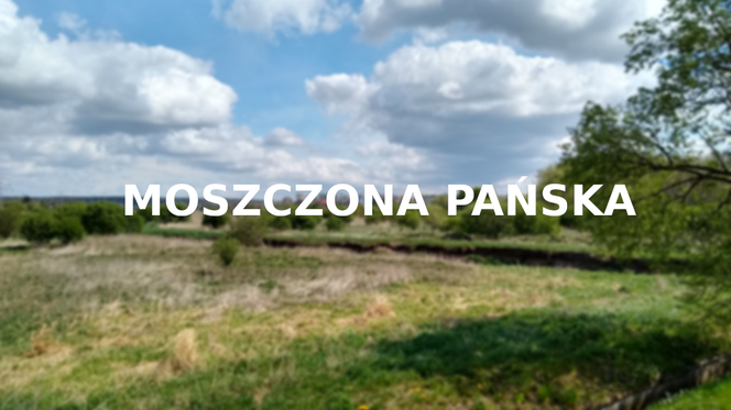 Moszczona Pańska