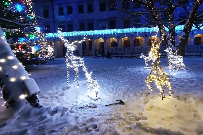 Świąteczne iluminacje na Zamku Książąt Pomorskich