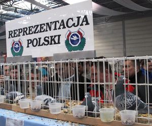 28 stycznia 2006 roku zawaliła się hala MTK. Zginęło ponad 60 osób