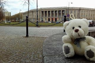 Po Białymstoku naprawdę chodzą niedźwiedzie polarne! [ZDJĘCIE DNIA]