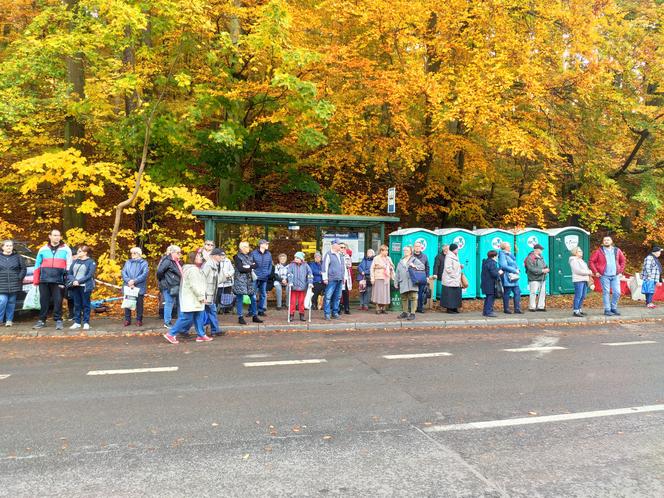 Wszystkich Świętych w Trójmieście. Zmiany w komunikacji