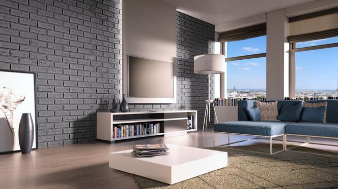 Cegła na ścianie BOSTON Stegu