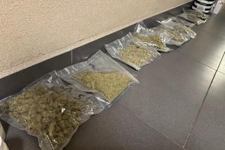 Warszawa. Niewiarygodne, co sprzedawał spod lady! Grozi mu za to 10 lat więzienia