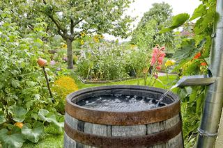 Jak magazynować deszczówkę w ogrodzie. Zbiorniki na wodę opadową
