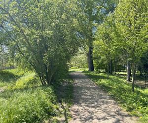 Najdłuższy park w Polsce jest w Krakowie. Ledwo widać go na mapach, a jest pełen atrakcji