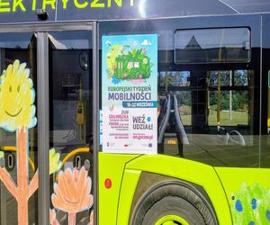 Poprowadzimy tramwaj, dostaniemy nasiona i zagramy w grę