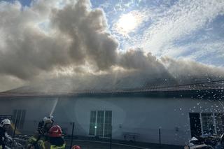 Gigantyczny pożar sali weselnej w Markach. Z ogniem walczy kilka zastępów straży pożarnej