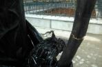 Pompa na woonerfie na Piramowicza po dwóch dniach już zniszczona