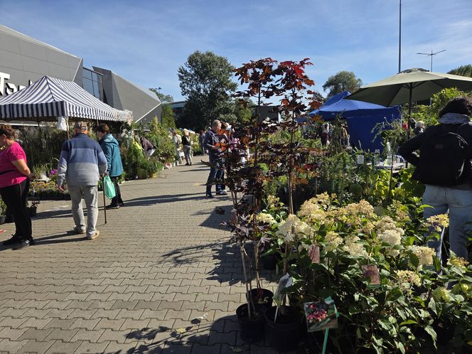 Jesienny Kiermasz Ogrodniczy w Bydgoszczy przyciągnął miłośników zieleni i smakołyków!