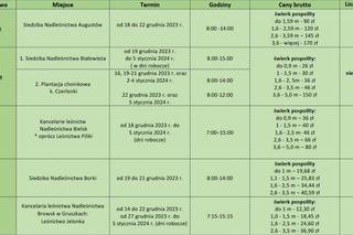 Ceny choinek w nadleśnictwach RLDP w Białymstoku